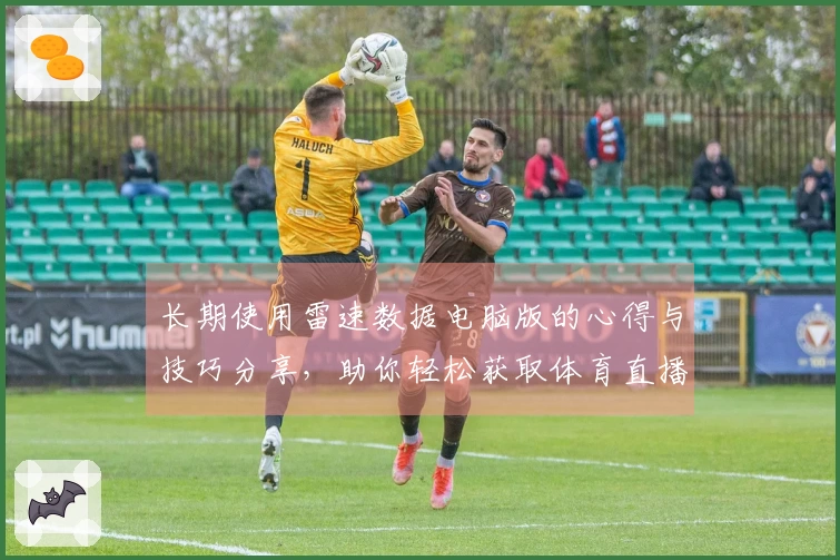 长期使用雷速数据电脑版的心得与技巧分享，助你轻松获取体育直播信息